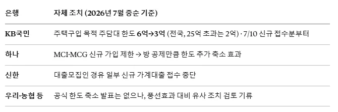 은행의 대출 자체조치를 나타낸 표입니다.